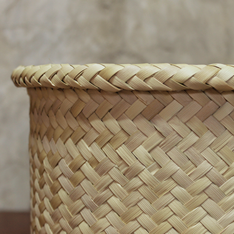 MINI GAVIOTAS BASKET